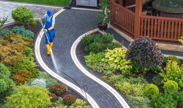 Best Pressure Washing Services Near Me  in Alto, GA